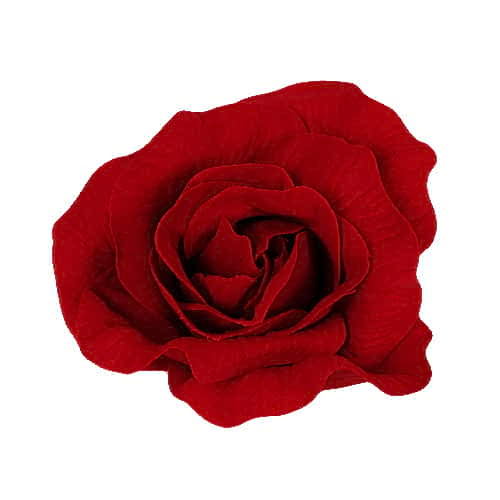 Smuk Rød Rose - SofiaGaver.dk